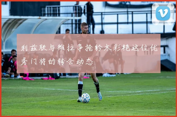利兹联与维拉争抢铃木彩艳这位优秀门将的转会动态